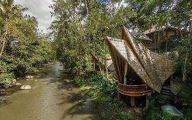 Permata Ayung Private Estate (Adults Only)